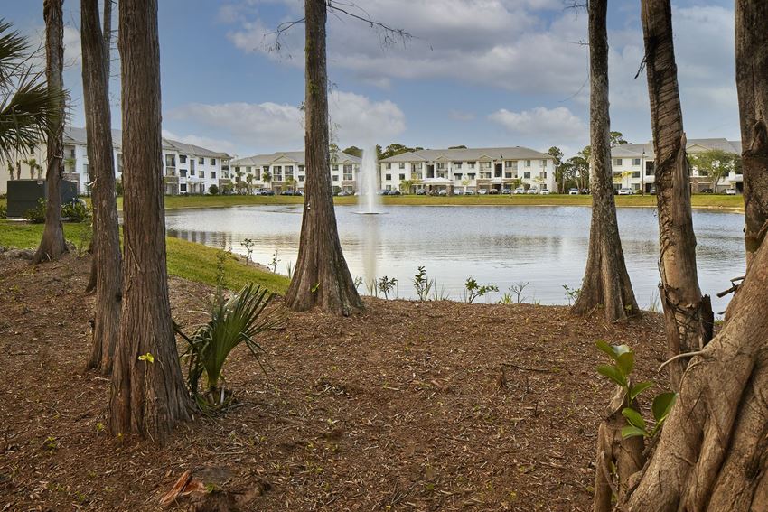 The Preserve Cypress Hammock Apartments, 5201 W. Hillsboro Blvd